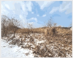  2025Ÿ��244 ���� ���ֽ� ���ʸ� �а 572      ����(�Ӿ�)���