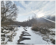  2025Ÿ��244 ���� ���ֽ� ���ʸ� �а 572      ����(�Ӿ�)���