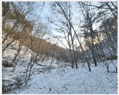  2025Ÿ��244 ���� ���ֽ� ���ʸ� �а 572      ����(�Ӿ�)���