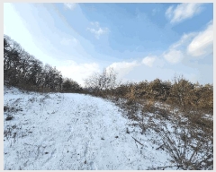  2025Ÿ��244 ���� ���ֽ� ���ʸ� �а 572      ����(�Ӿ�)���