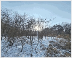  2025Ÿ��244 ���� ���ֽ� ���ʸ� �а 572      ����(�Ӿ�)���