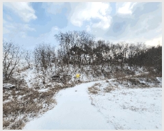  2025Ÿ��244 ���� ���ֽ� ���ʸ� �а 572      ����(�Ӿ�)���