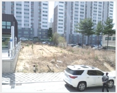  2025Ÿ��442 ���� ���ֽ� �౸�� ��178-24       ����(�Ӿ�)���