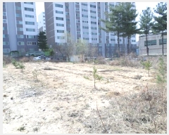  2025Ÿ��442 ���� ���ֽ� �౸�� ��178-24       ����(�Ӿ�)���