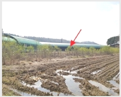  2025Ÿ��473  ����