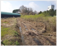  2025Ÿ��473  ����