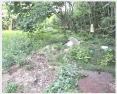  2025Ÿ��831  �Ӿ߰��