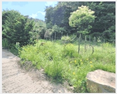  2025Ÿ��831  �Ӿ߰��