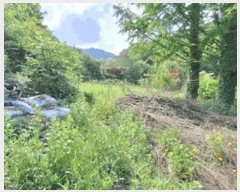  2025Ÿ��831  �Ӿ߰��