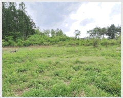  2025Ÿ��831  �Ӿ߰��