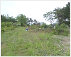  2025Ÿ��831  �Ӿ߰��