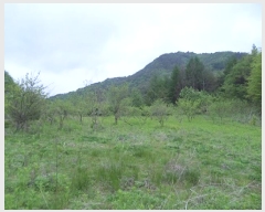  2025Ÿ��831  �Ӿ߰��