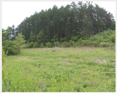  2025Ÿ��831  �Ӿ߰��