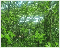  2025Ÿ��862  ����