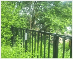  2025Ÿ��862  ����