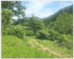  2025Ÿ��862  ����