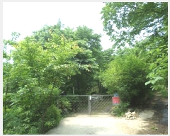  2025Ÿ��862  ����