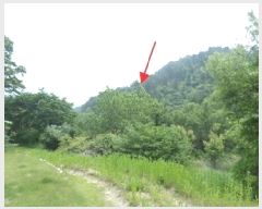  2025Ÿ��862  ����