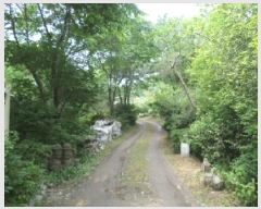  2025Ÿ��862  ����