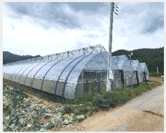  2025Ÿ��930 ���� Ⱦ���� ����� ���︮ 1133      ����(��)���