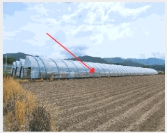  2025Ÿ��930 ���� Ⱦ���� ����� ���︮ 1133      ����(��)���