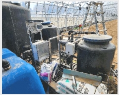  2025Ÿ��930 ���� Ⱦ���� ����� ���︮ 1133      ����(��)���