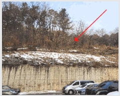  2025Ÿ��20248  �Ӿ߰��