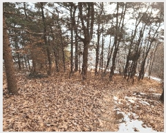  2025Ÿ��20248  �Ӿ߰��