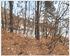  2025Ÿ��20248  �Ӿ߰��