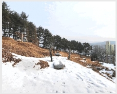  2025Ÿ��20248  �Ӿ߰��