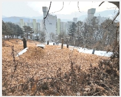  2025Ÿ��20248  �Ӿ߰��