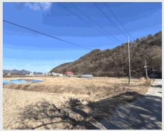  2025Ÿ��20279 ���� ���ֽ� ������ ������ 950      ����(��)���