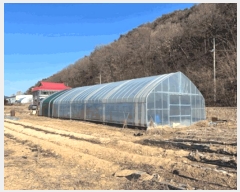  2025Ÿ��20279 ���� ���ֽ� ������ ������ 950      ����(��)���