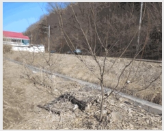  2025Ÿ��20279 ���� ���ֽ� ������ ������ 950      ����(��)���