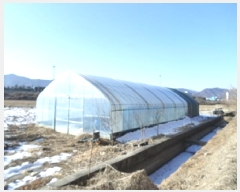  2025Ÿ��20279 ���� ���ֽ� ������ ������ 950      ����(��)���