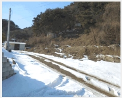  2025Ÿ��20378  ����