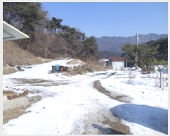  2025Ÿ��20378  ����