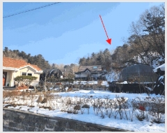  2025Ÿ��20385 ���� ���ֽ� ���ʸ� ���帮 ��135      ����(�Ӿ�)���