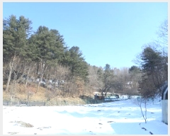  2025Ÿ��20385 ���� ���ֽ� ���ʸ� ���帮 ��135      ����(�Ӿ�)���