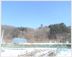  2025Ÿ��20385 ���� ���ֽ� ���ʸ� ���帮 ��135      ����(�Ӿ�)���