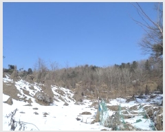  2025Ÿ��20385 ���� ���ֽ� ���ʸ� ���帮 ��135      ����(�Ӿ�)���