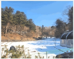  2025Ÿ��20385 ���� ���ֽ� ���ʸ� ���帮 ��135      ����(�Ӿ�)���