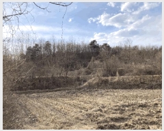  2025Ÿ��20507 ���� ���ֽ� ȣ���� ����� 978      ����(��1)���