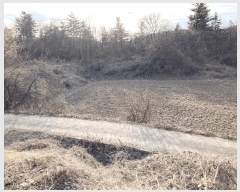  2025Ÿ��20507 ���� ���ֽ� ȣ���� ����� 978      ����(��1)���