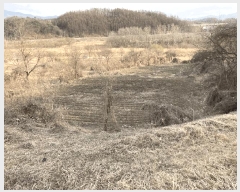  2025Ÿ��20507 ���� ���ֽ� ȣ���� ����� 978      ����(��1)���