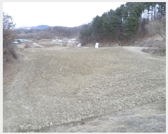  2025Ÿ��20507 ���� ���ֽ� ȣ���� ����� 978      ����(��1)���