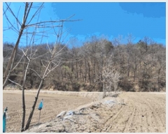  2025Ÿ��20546 ���� ���ֽ� ���ʸ� �еи� ��32-48      ����(�Ӿ�)���