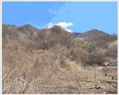  2025Ÿ��20546 ���� ���ֽ� ���ʸ� �еи� ��32-48      ����(�Ӿ�)���