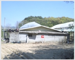  2025Ÿ��20566  ���ð��