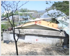  2025Ÿ��20566  ���ð��